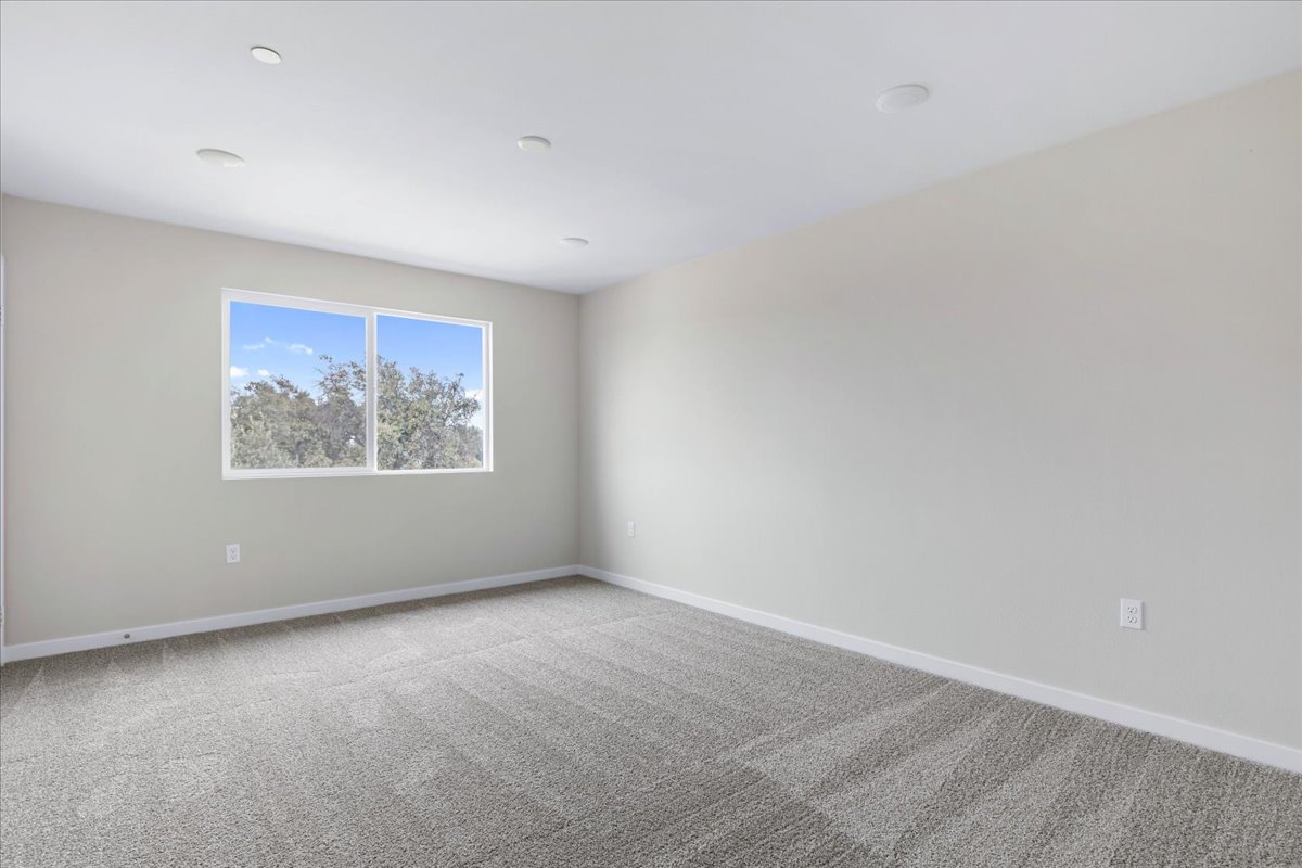 A room with a window and a carpet.