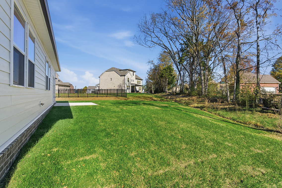 A grassy yard with trees and buildings.